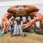 East Coast She-crab Soup Classic East Coast She-crab Soup Classic